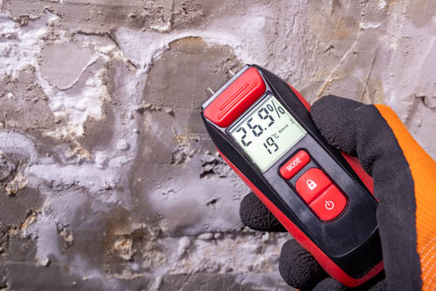 Best Industrial Mold Remediation in Mount Shasta, CA